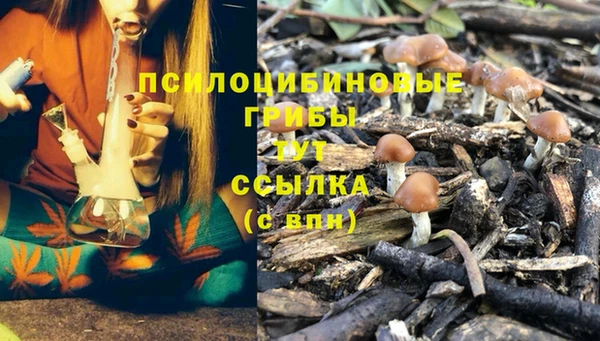стафф Вяземский