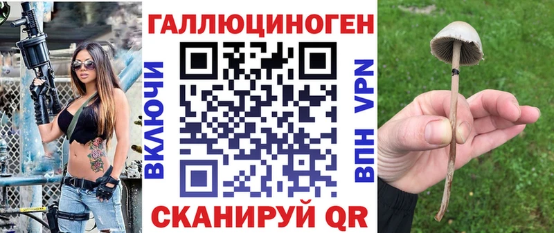 Галлюциногенные грибы MAGIC MUSHROOMS  Высоковск 